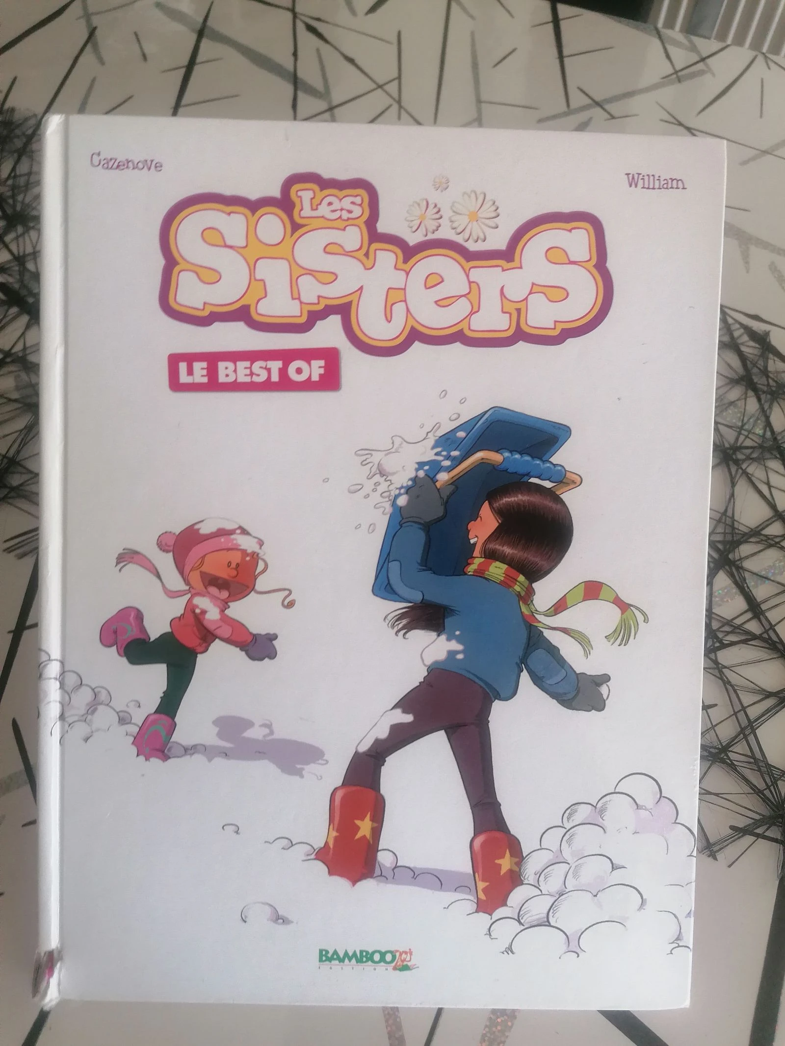 BD les sisters le best of 📕